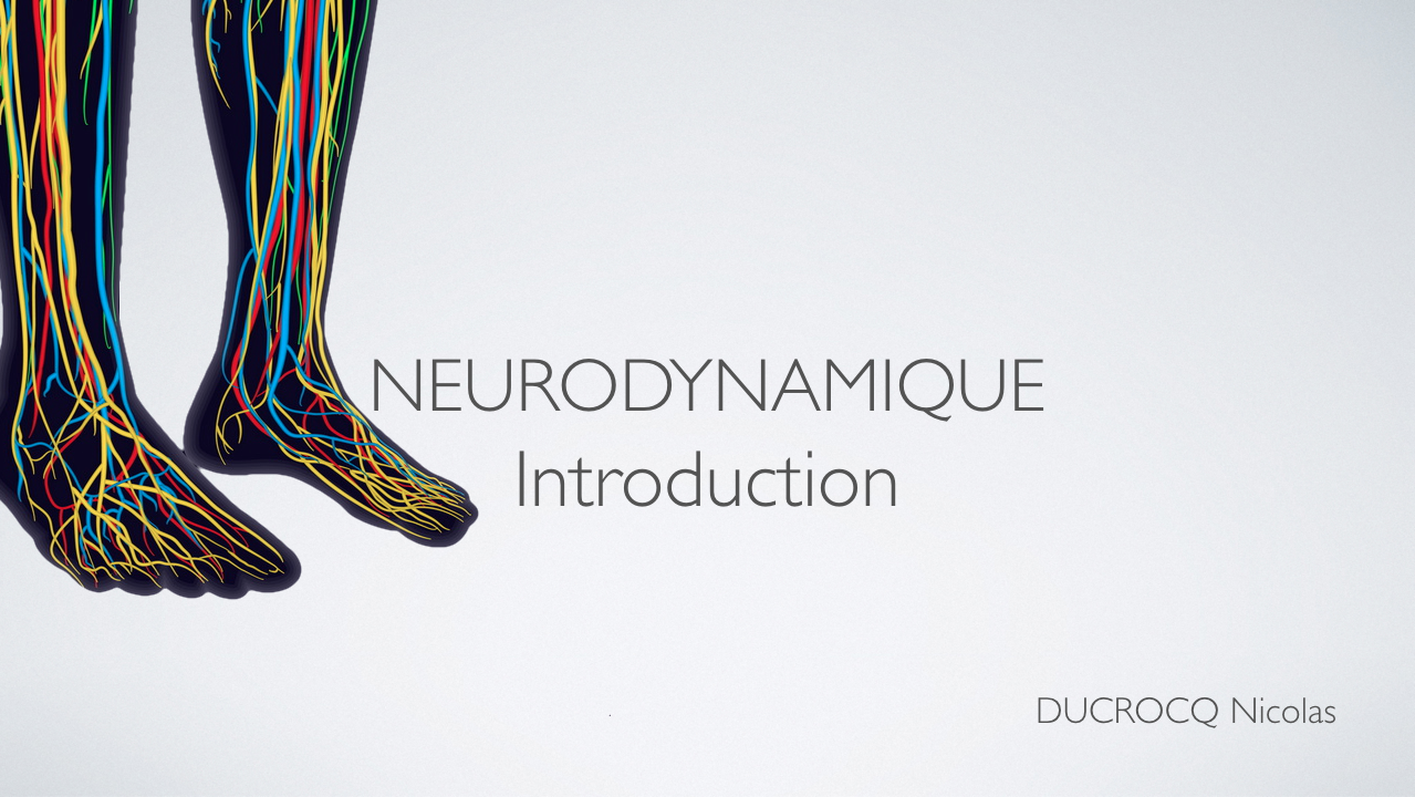 Introduction à la neurodynamique